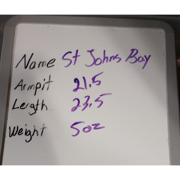 St Johns Bay Shirt Ladies Medium Petite‎ Purple Pixie Floral Peasant - Picture 6 of 6